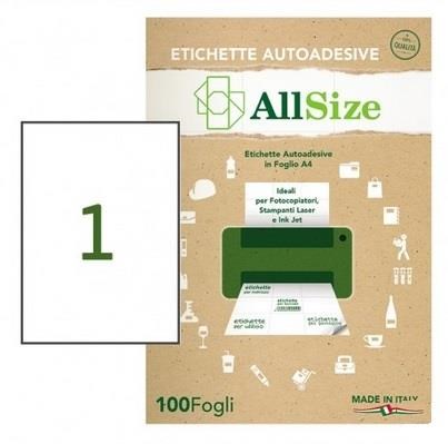 Etichette bianche per stampanti e fotocopiatori 100 fg.