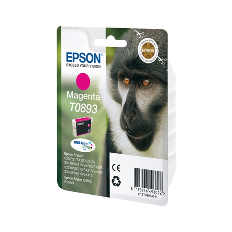 Epson T089_ colore
