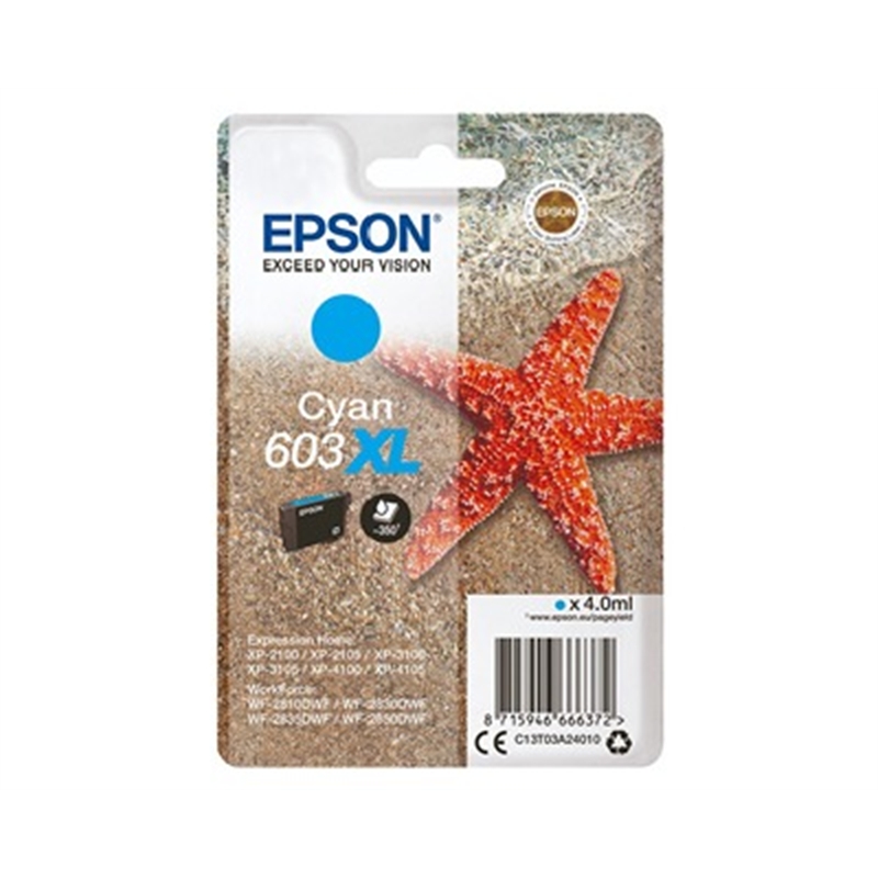 Epson 603 colori