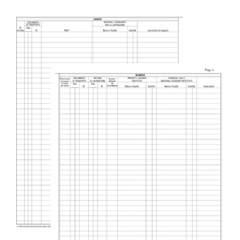 Registro merci in lavorazione