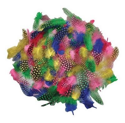 Piume Colorate 10 Gr.