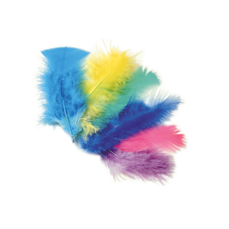 Piume Colorate 10 Gr.